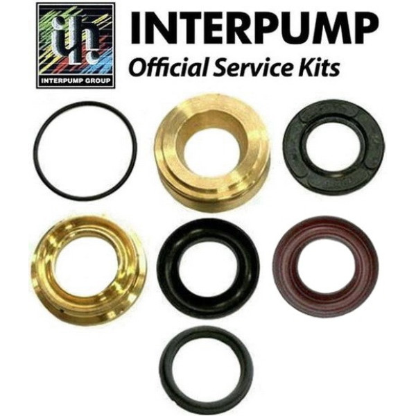 Ремкомплект KIT 28 поршня D 20мм для помпы WS102, WS151 АВД Royal Press