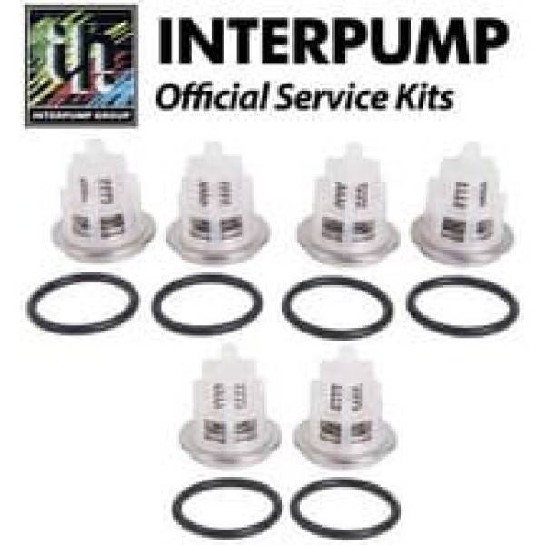 Комплект клапанов KIT 169 для помп W3021, W2525, W3025, W2030, W2035, W2141 Interpump