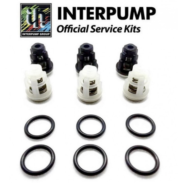 Комплект клапанов KIT 309 для помпы EVO 1 арт. 34030901