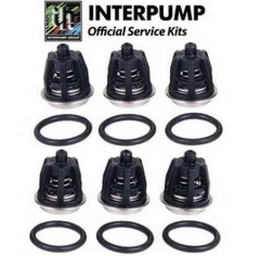 Комплект клапанов KIT 01 для Royal Press, Golden Jet, Mistral, HPS