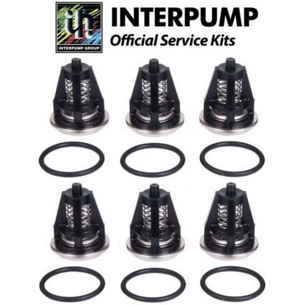 Комплект клапанов KIT 62 для помпы T44, T55, WS153
