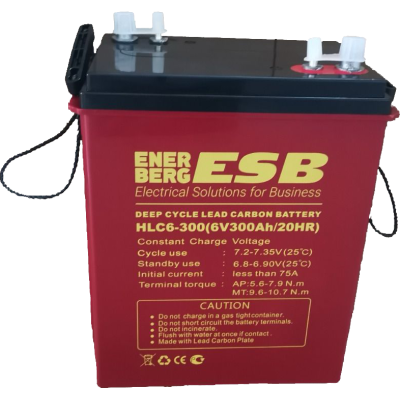 Аккумуляторная батарея ESB HLC6-300 (6V / 300Ah C20)