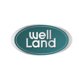 Резина задняя Wellland M20