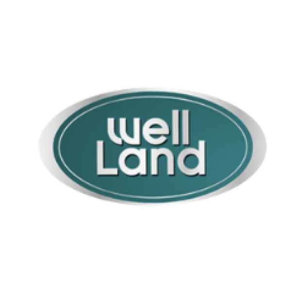 Резина передняя Wellland M30
