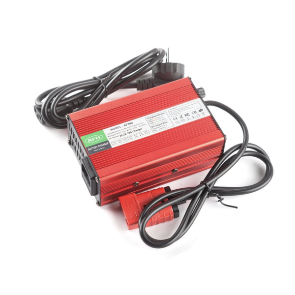 Зарядное устройство Rutrike для литиевых LiFePo4 аккумуляторов 24V 40Ah 10A (29.2V) AF300 SB50