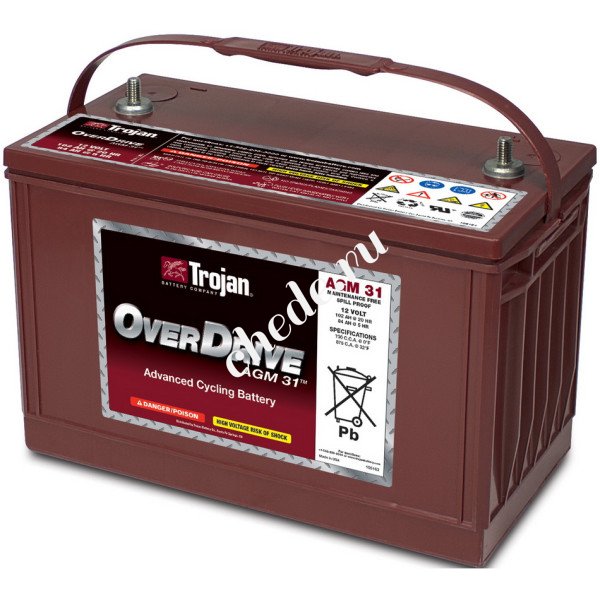 Аккумуляторная батарея Trojan 31-AGM