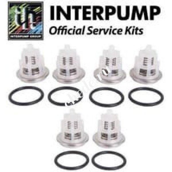 Комплект клапанов KIT 169 для помп W3021, W2525, W3025, W2030, W2035, W2141 Interpump