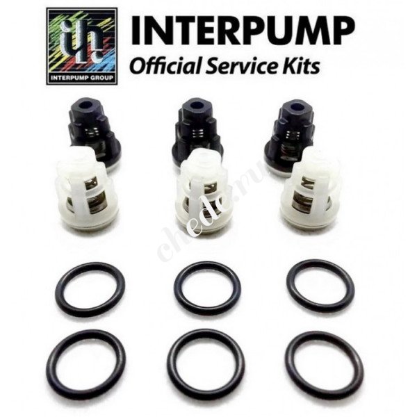 Комплект клапанов KIT 309 для помпы EVO 1 арт. 34030901