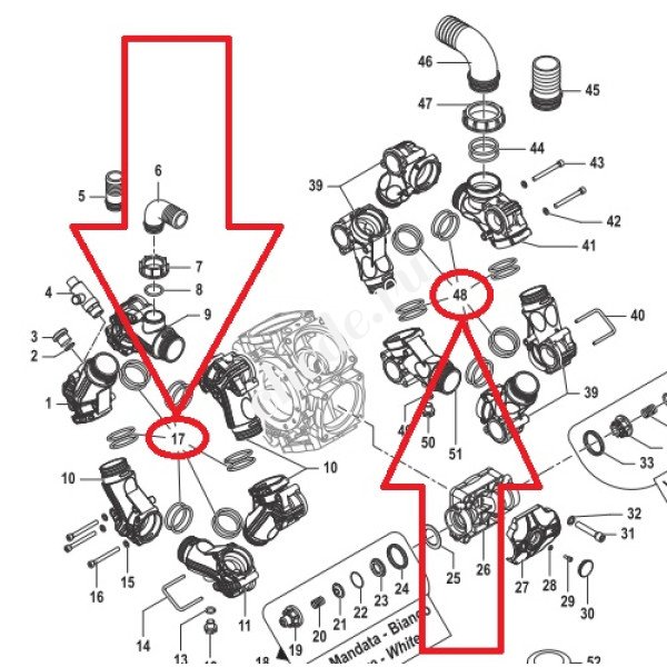 Кольцо 3,53х53,57 насоса BPS300 (поз.17/48); (1х24)