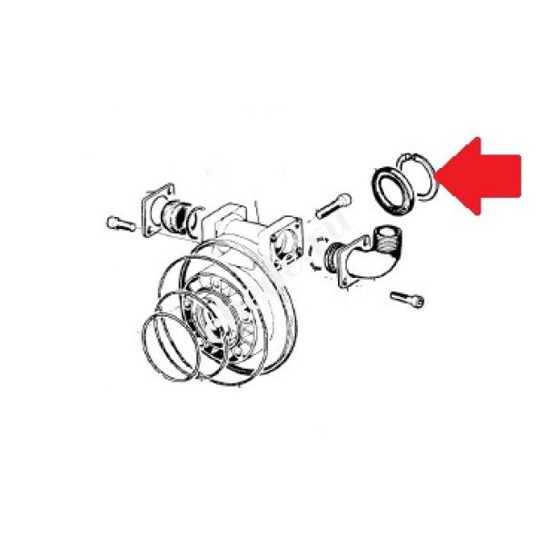 Кольцо насоса APS101/121
