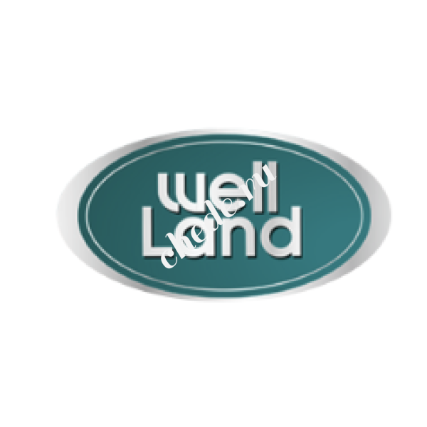 Резина передняя Wellland M30